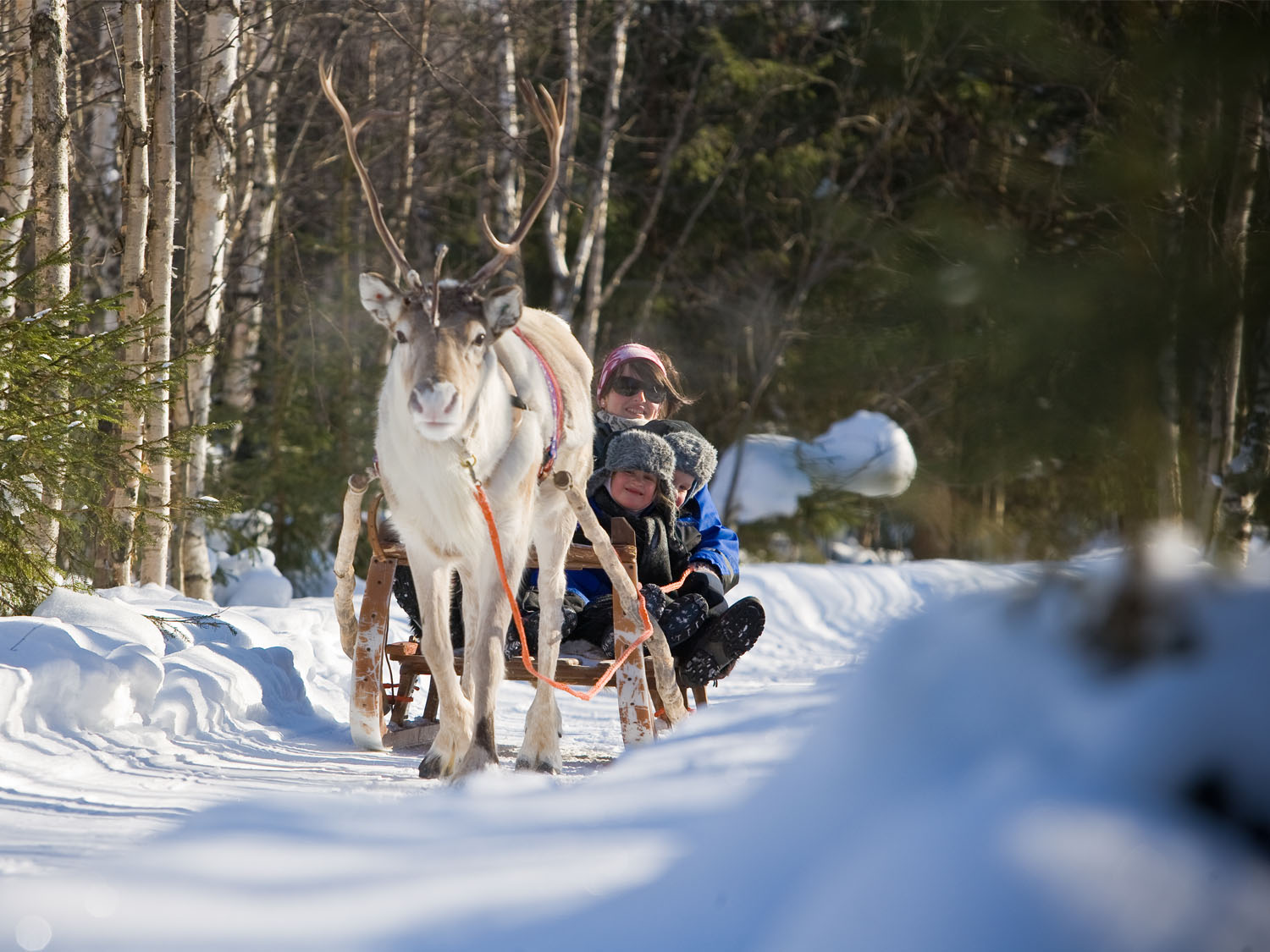 Day 3 - Rovaniemi