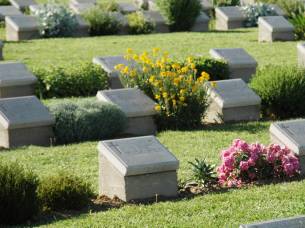 Remembrance-Day-Main