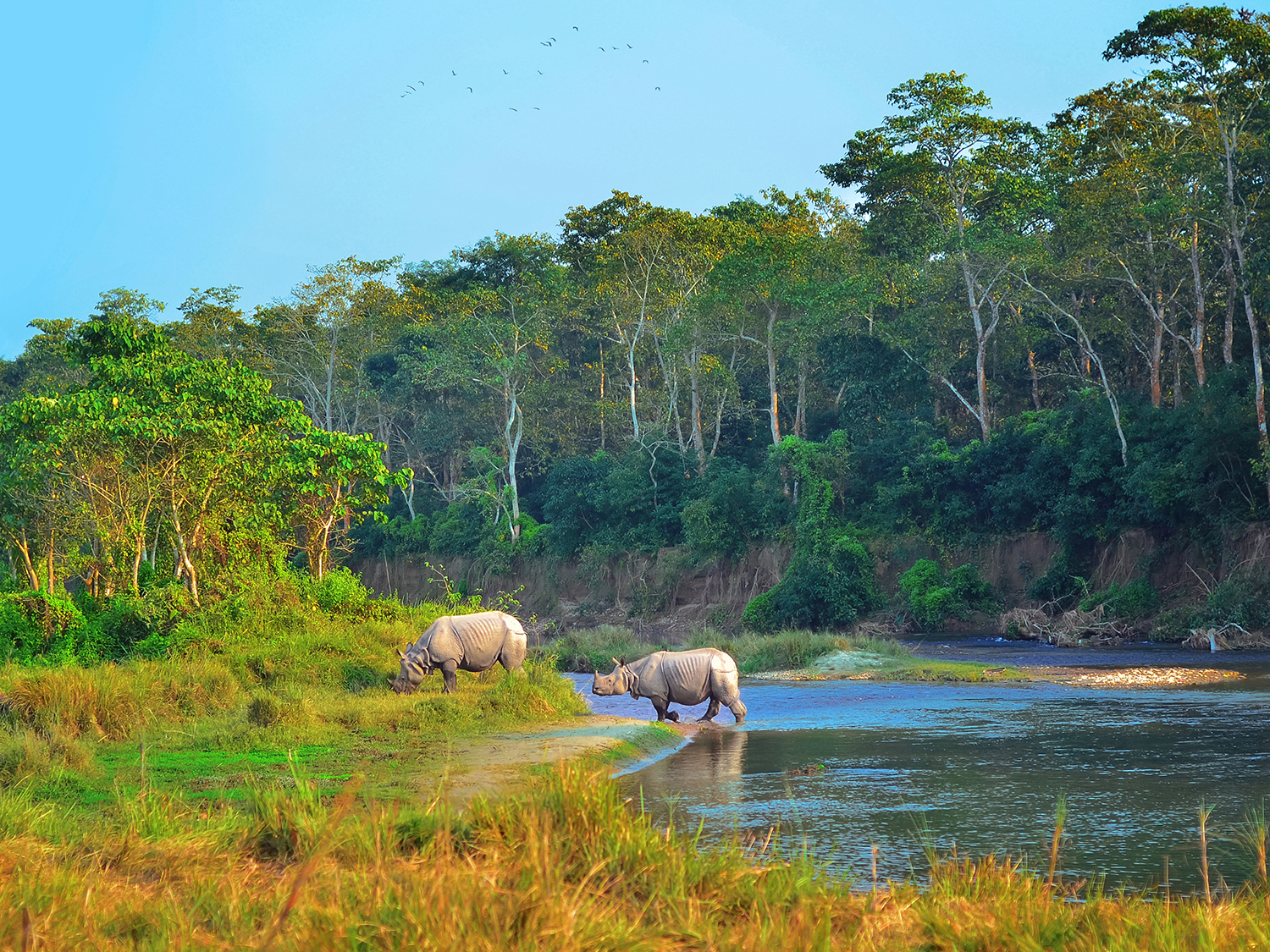 Days 9-10 - Chitwan National Park