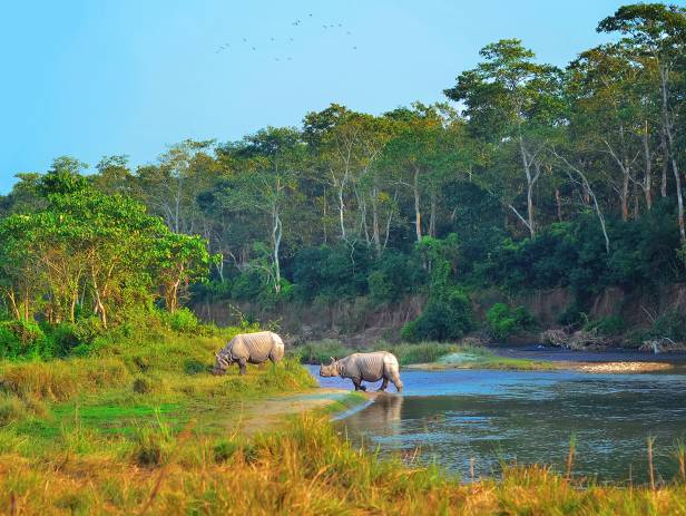 Chitwan Highlight