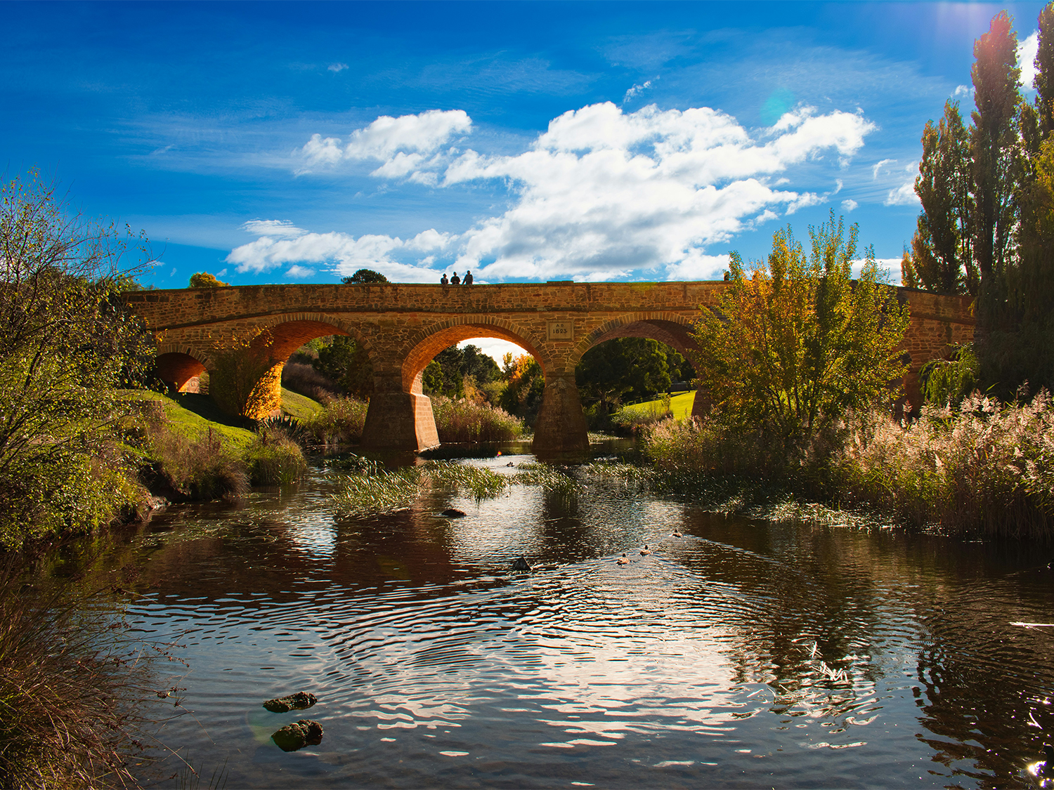 Day 6 - Bonorong Wildlife, Richmond Village & Kunanyi