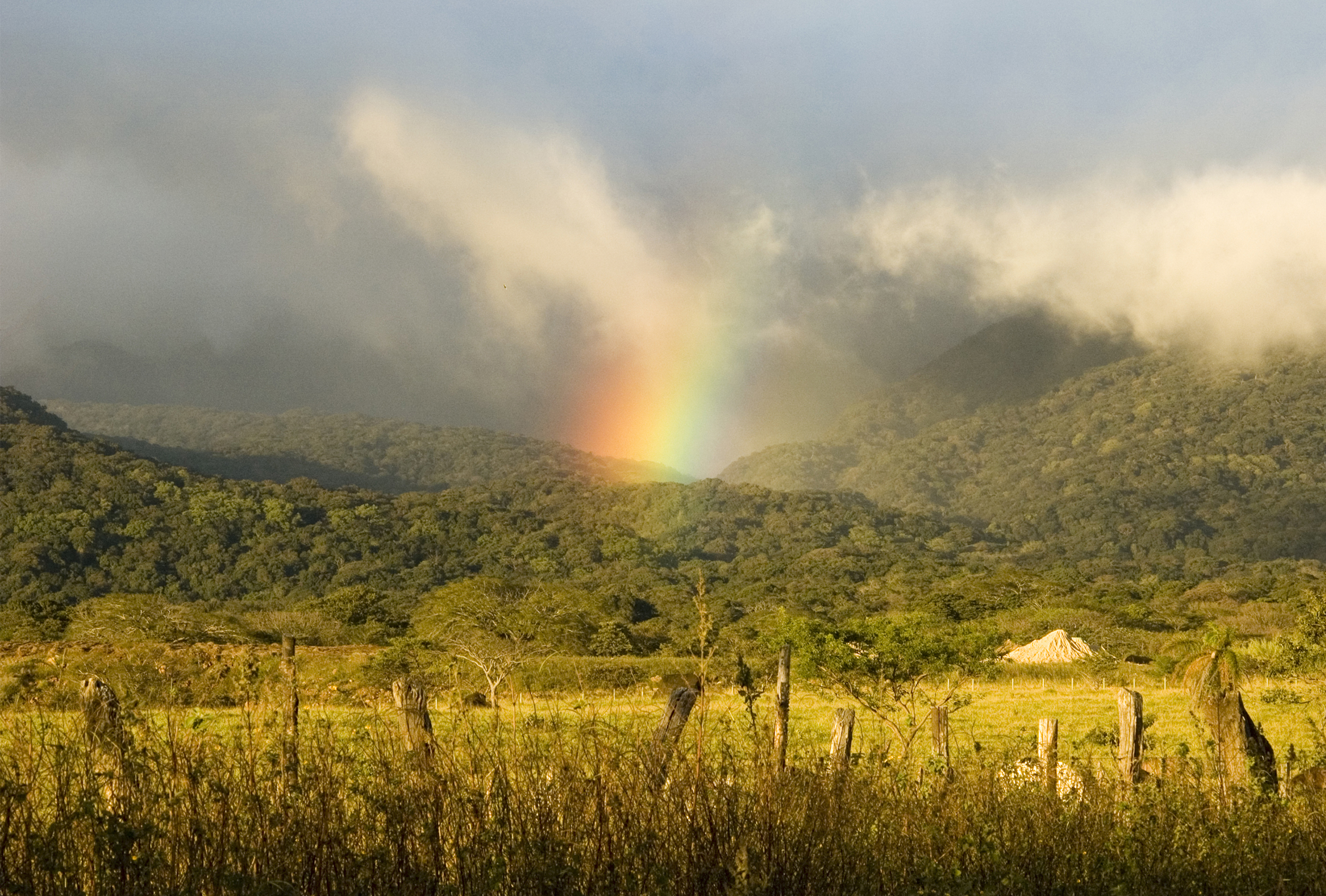 Day 10 - From Volcanoes to the Coast