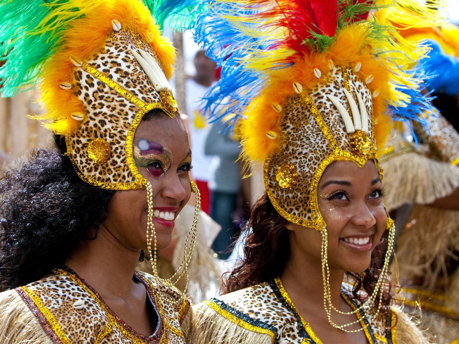 Rio Carnival Extravaganza - 6 days