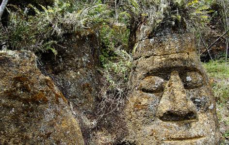 Rock carvings on Floreana Island - Galapagos - On The Go Tours