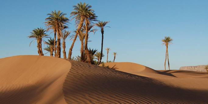 Sahara | Morocco