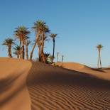 Sahara | Morocco