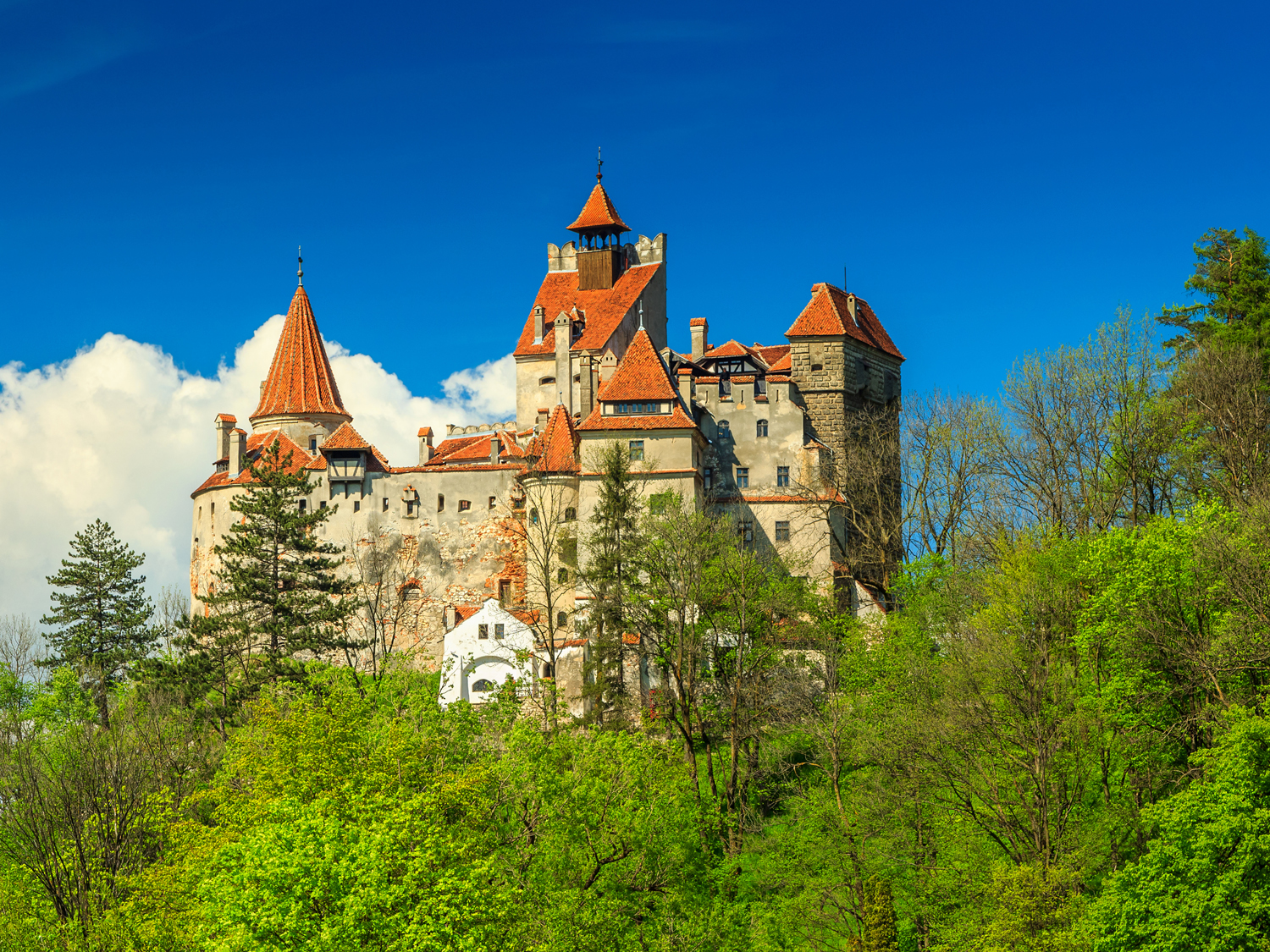 Day 6 - Brasov