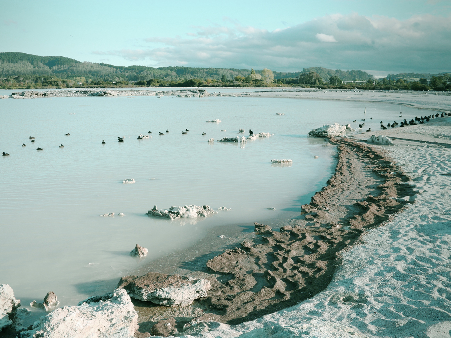 Day 3 - Rotorua