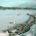 Rotorua - New Zealand - On The Go Tours