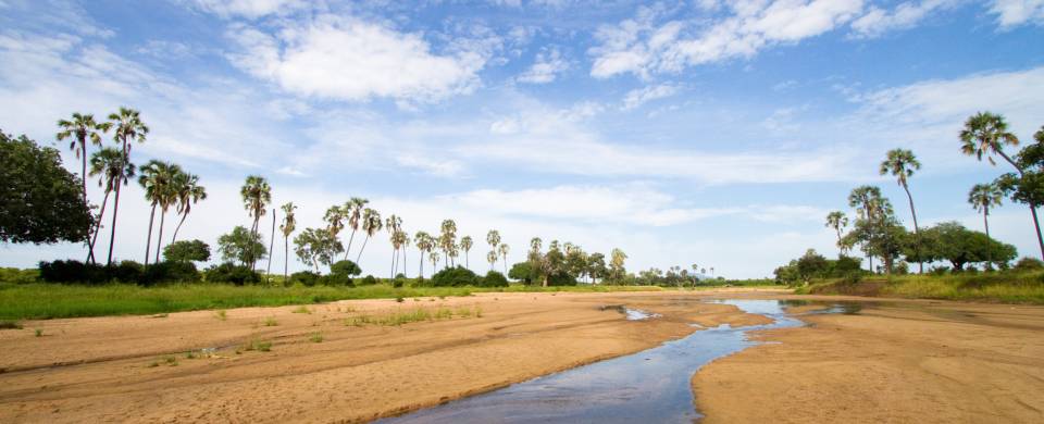 Stretch of water through the dry plains of Ruaha National Park