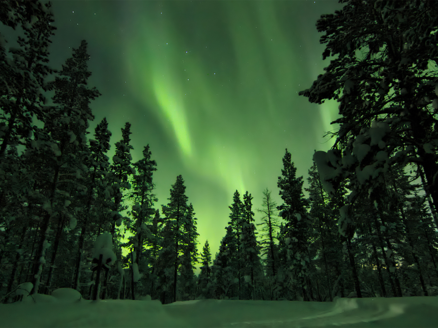 Day 3 - Rovaniemi
