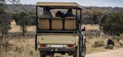 Safari truck with savannah landscape