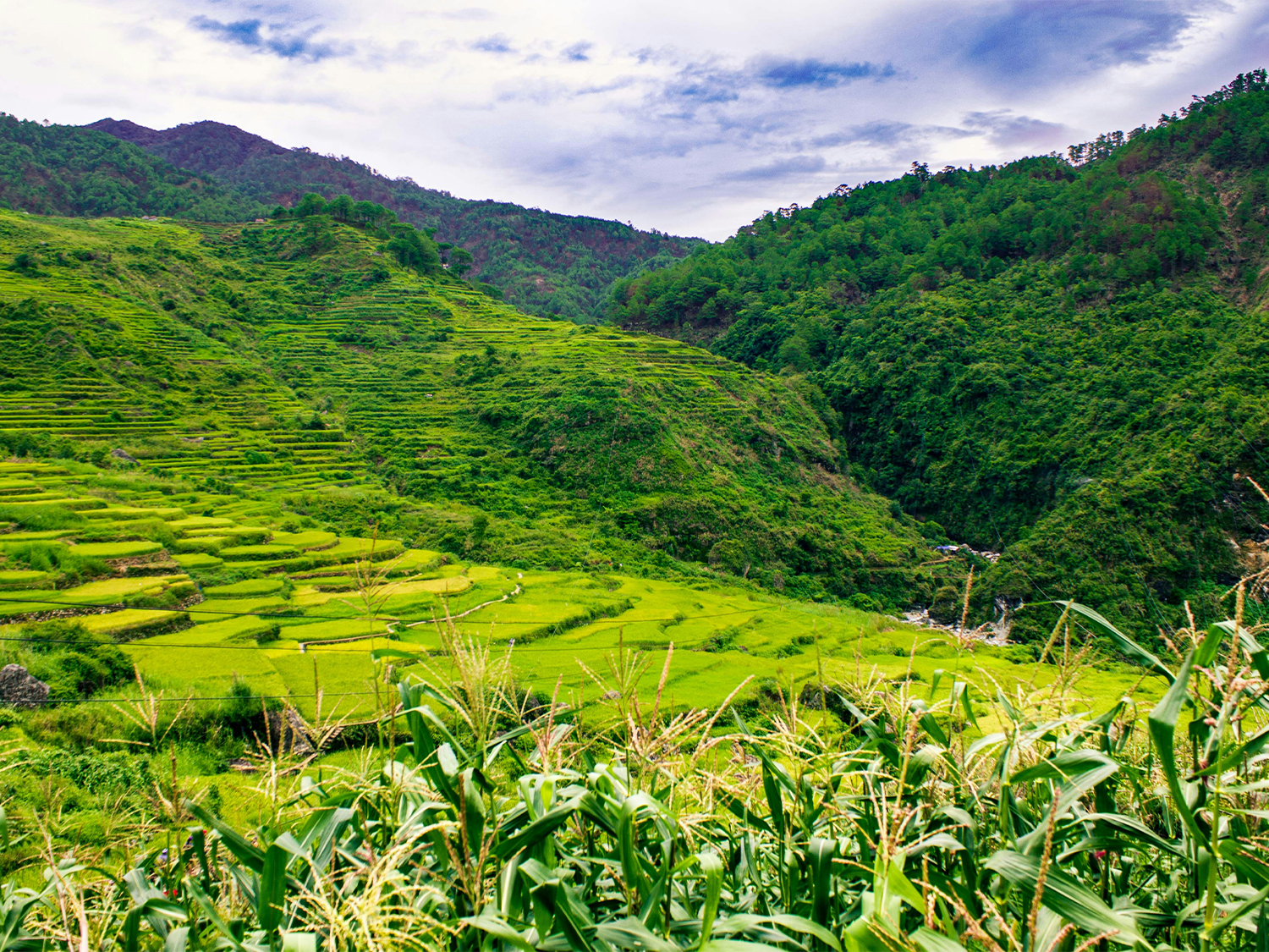 Day 2 - Banaue