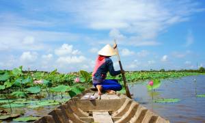 Saigon and the Mekong - Private Tour - Main Image