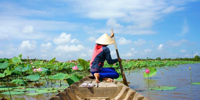 A Vietnamese woman rowing a boat in the lily-strewn waters of the Mekong Delta