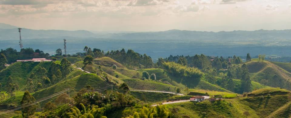 The lush landscape of Colombia's coffee region near the town of Salento