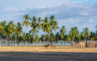 Samara Beach Highlight- web ready