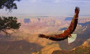 San Francisco to Grand Canyon & LA main - egale over grand canyon