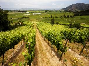 San-Cruz-Chile-South-America-Tours