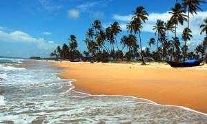 Sandy beach in Goa - menu image