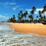 Sandy beach in Goa