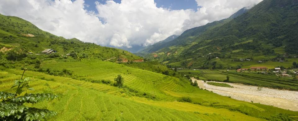 View of the verdant countryside in Sapa
