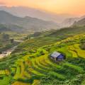 View of the verdant countryside in Sapa