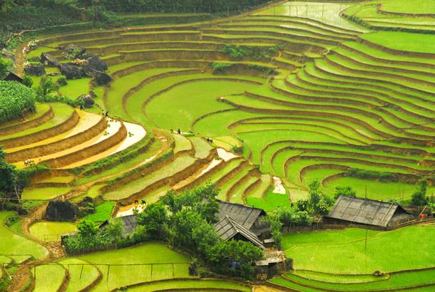Sapa rice terraces - Best time to visit Vietnam - On The Go Tours