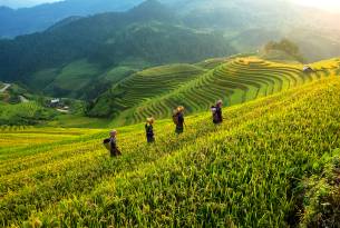 Sapa rice terraces and tribes - Best places to visit in Southeast Asia - On The Go Tours