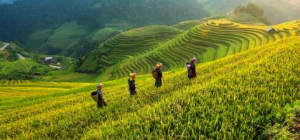 Sapa rice terraces and tribes - Best places to visit in Southeast Asia - On The Go Tours
