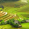 View of the verdant countryside in Sapa