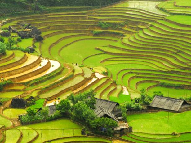 View of the verdant countryside in Sapa