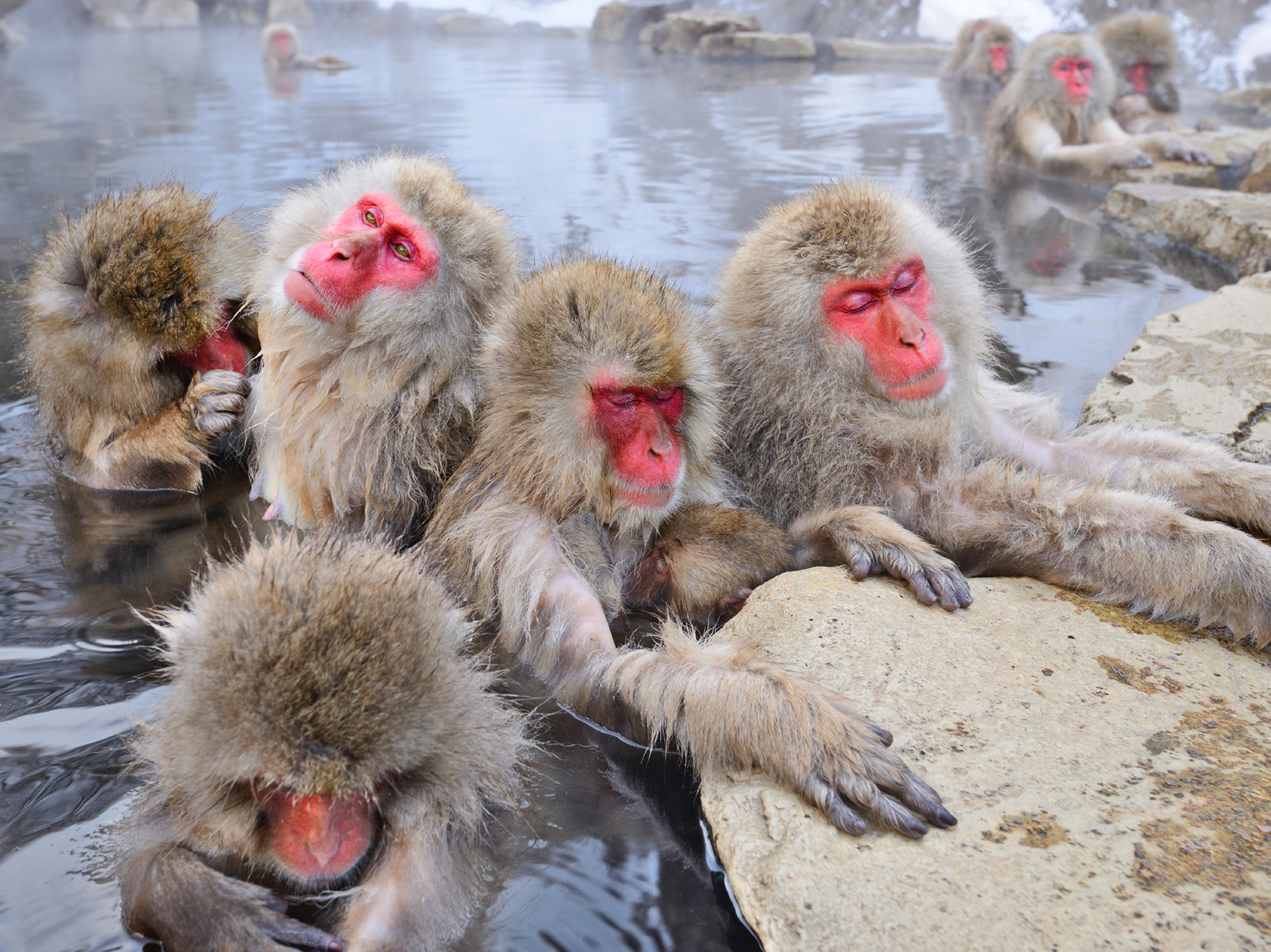 Day 10 - Yudanaka Onsen