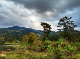 Scenery of Ranomafana National Park - Madagascar - On The Go Tours