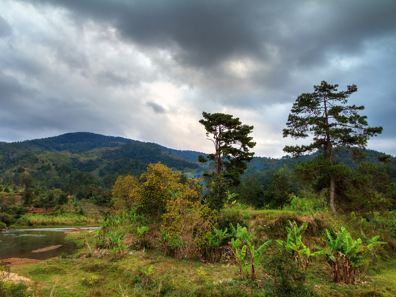 Day 4 - Ranomafana National Park