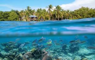 Scuba diving and snorkelling in Panama - Central America - On The Go Tours