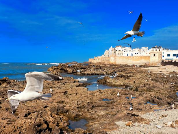 The walled city of Essaouira sitting on the edge of the water