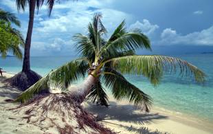 Selingan Turtle Island - Highlight