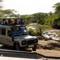 Family of elephants walking across the road in front of a jeep in the Serengeti National Park