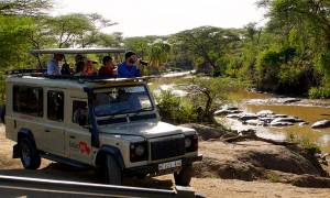 Serengeti National Park game drive - Tanzania - Africa - On The Go Tours