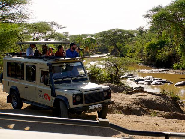 Family of elephants walking across the road in front of a jeep in the Serengeti National Park