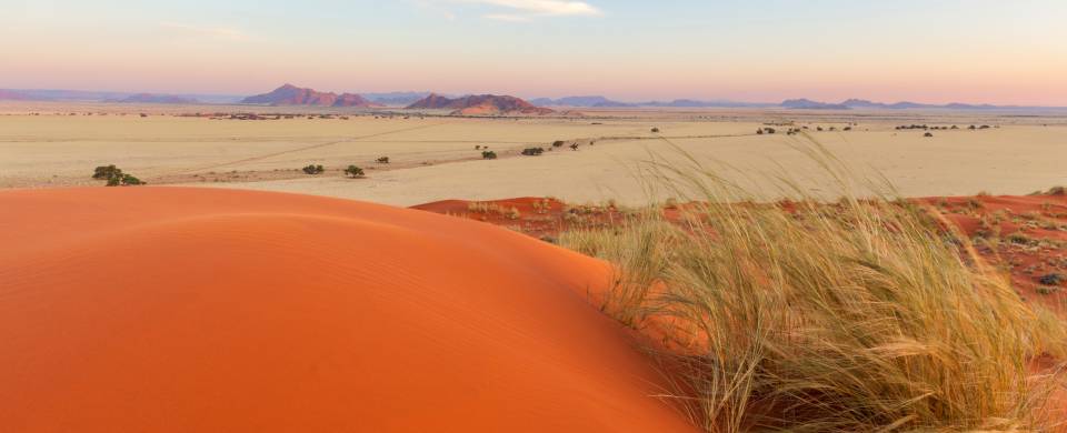 Orange sand dunes stretching into the distance at Sesriem