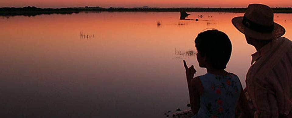 Sunset over the water at Shahpura