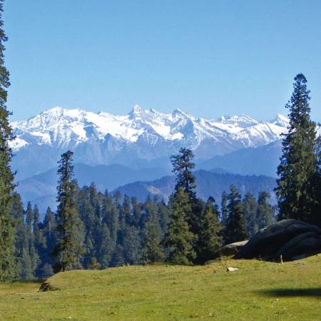 Shimla Landscape - India Tours - On The Go Tours