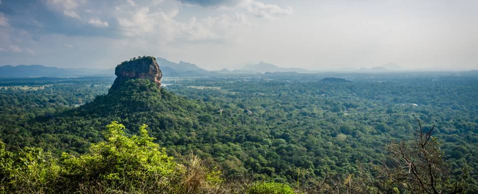 Iconic rock sitting among lush vegetation in Sigiriya