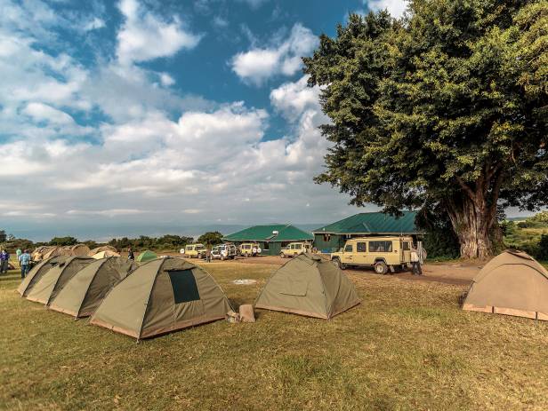 Hundreds of wildebeests on the savannah plains of Ngorongoro Crater