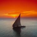 Zanzibar Highlight