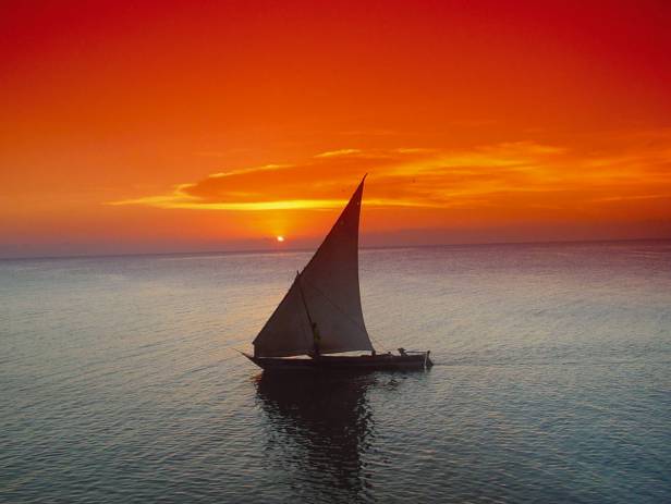 Zanzibar Highlight