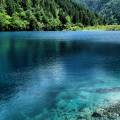 Dazzling turquoise water surrounded by beautiful foliage in Jiuzhaigou