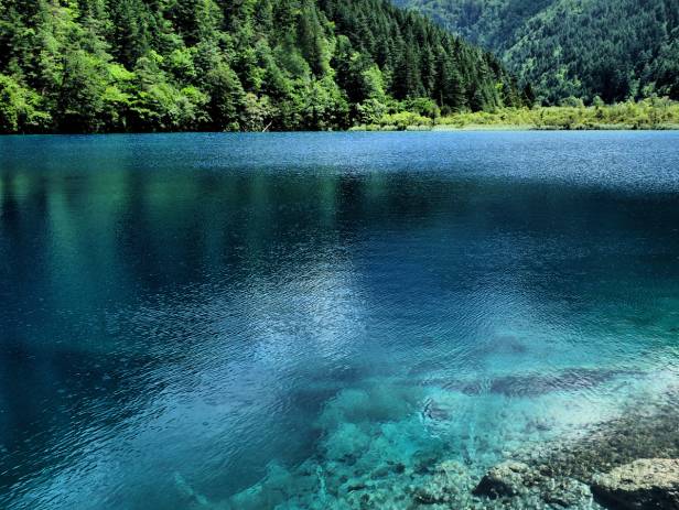 Dazzling turquoise water surrounded by beautiful foliage in Jiuzhaigou